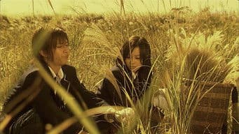 Culture festival of horror