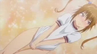 Sketches in Paradise; Competition in Paradise