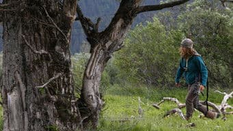 Taming of the Wolverine