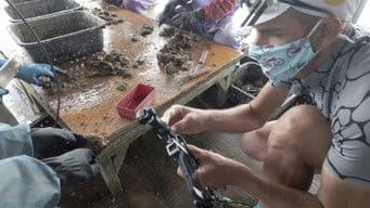 Mie – A Cultural Crossroads