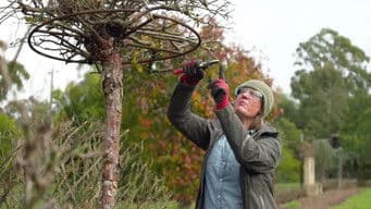 Episode 19 90th Birthday, Ita Buttrose, Ferny Creek & Zoo