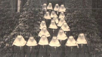 A Vast Company Of Witnesses: The Communion Of Saints