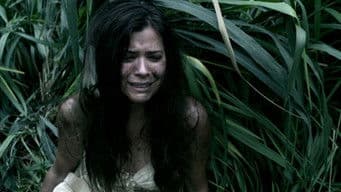 Palekaiko (Paradise)