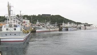 Traveling Fisherman: A Life of Squid Fishing