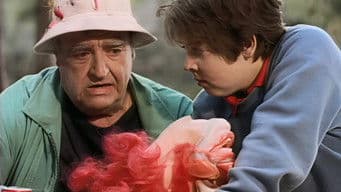 In the Custody of a Clown