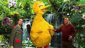 Big Bird’s Big Move