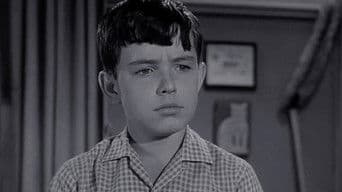 Beaver's Report Card