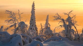 To the Ends of the Earth