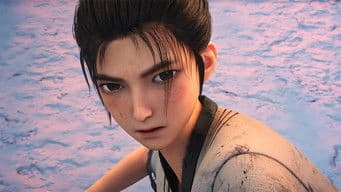 Life is Like An Old Dog