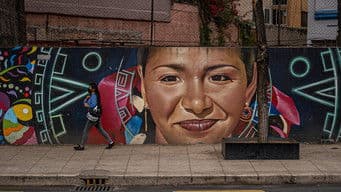 The Femicide Detectives