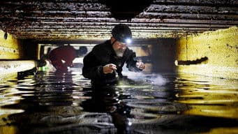 Trace seekers in Nazi bunkers in the middle of Poland
