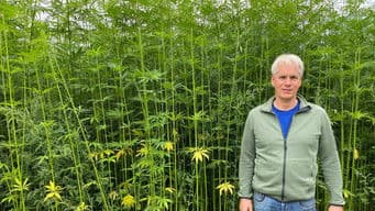 The return of hemp fiber