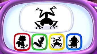 Moonlight Night Flight