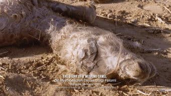 Adult/Child, Economy, Editing