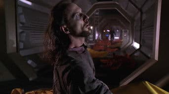 Dance of the Mayflies