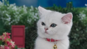 Reduce, Radish, Recycle