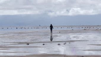 Buried in the desert