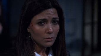 Day 6: 3:00 A.M.-4:00 A.M.