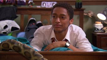 House of the Black Bird