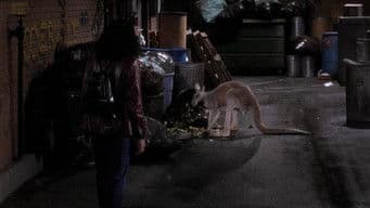 Don't Ask, Don't Tell