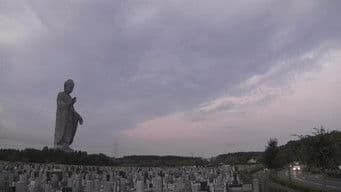 In a Cemetery Looking Up at the Great Buddha