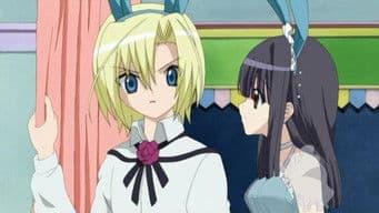 Hakkeyoi, Dancing School Festival