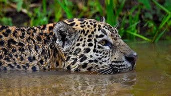 Hard Rock Holy Grail