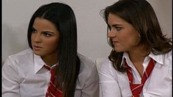 La fundación del director