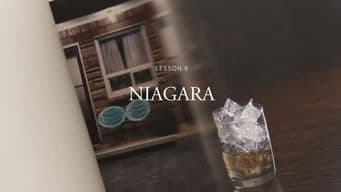 Key Projects: NIAGARA