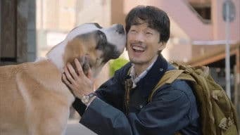 Unconvential Judge vs Straight-Laced Elite Judge! Birth of Partners