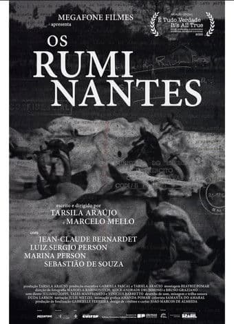 Os Ruminantes