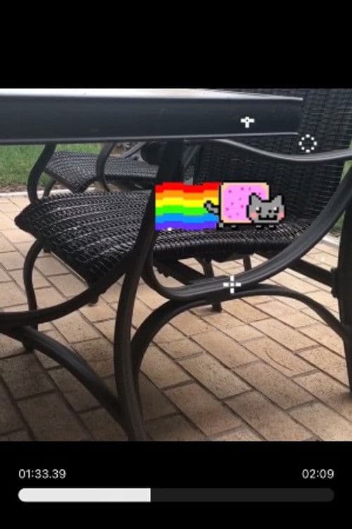 Nyan Cat