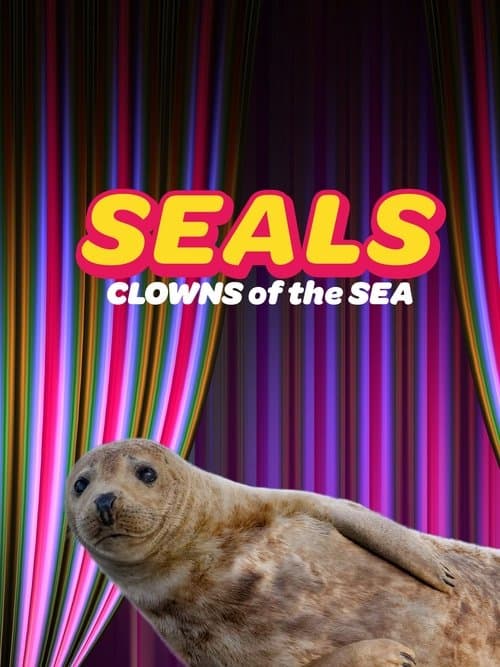 Seals - Clowns of the Sea