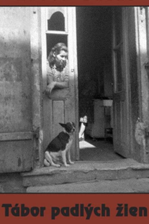 Camp of Fallen Women