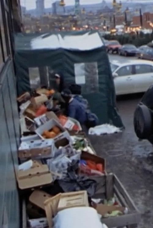 Surfing the Waste: a Musical Documentary about Dumpster Diving