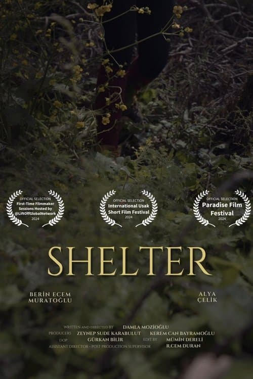 Shelter