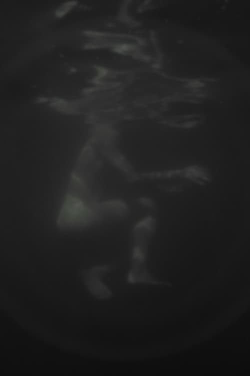 Hazug disznók az álmok is