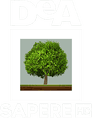 DeA Sapere