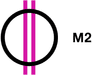 M2