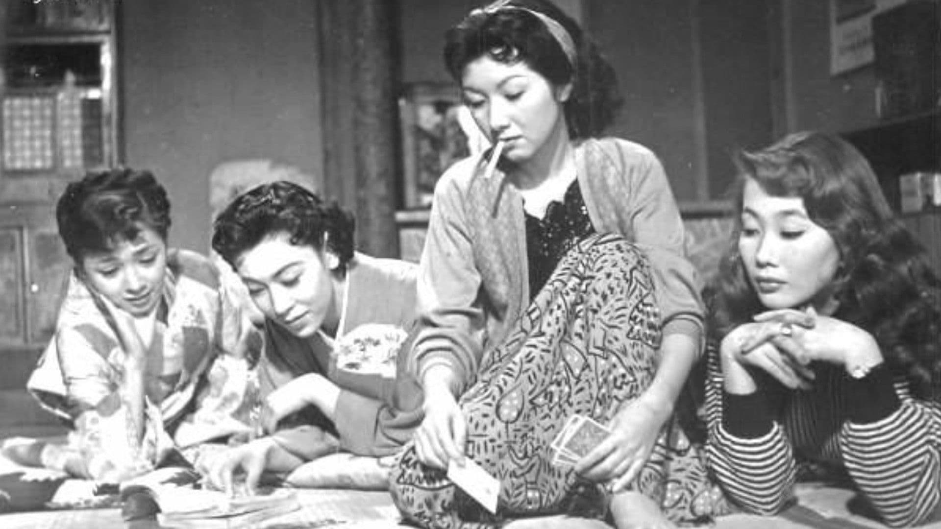 (Street of Wandering Pigeons) When Will the Birds Come Home