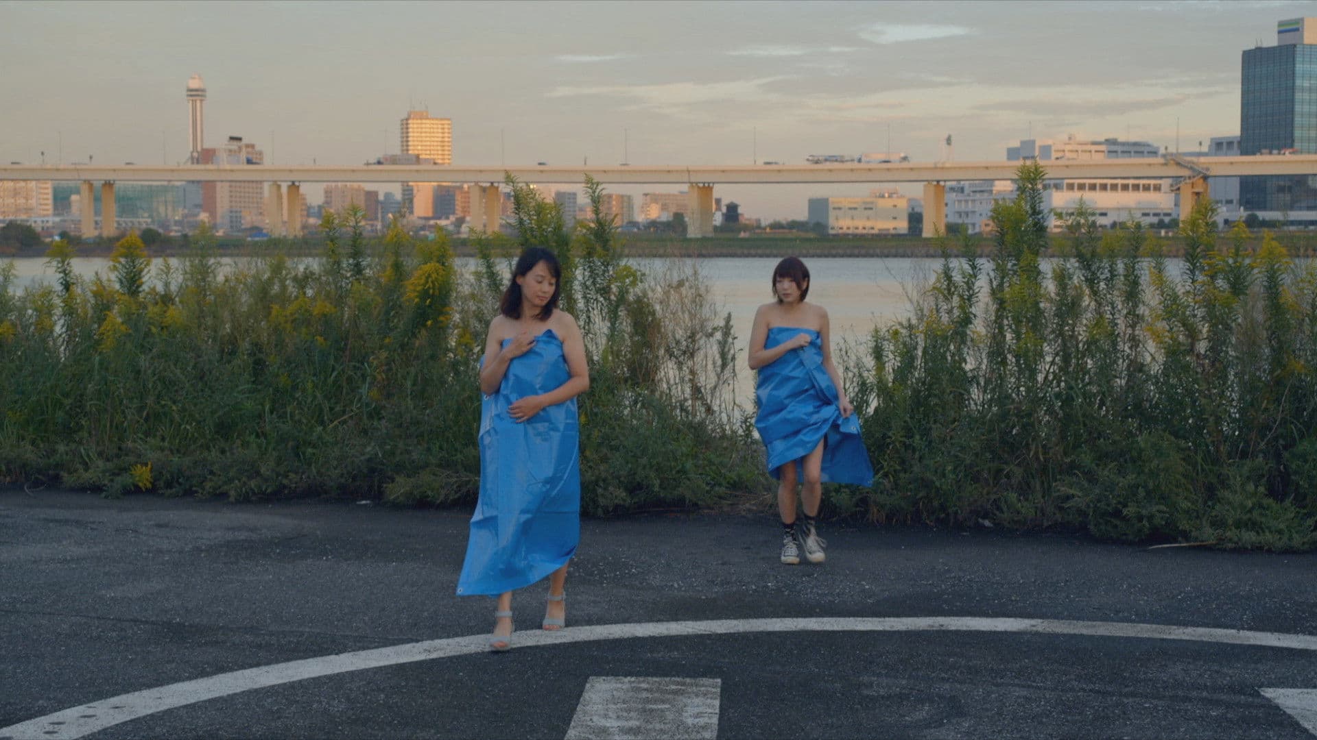 Tsuchinoko: The Comedy