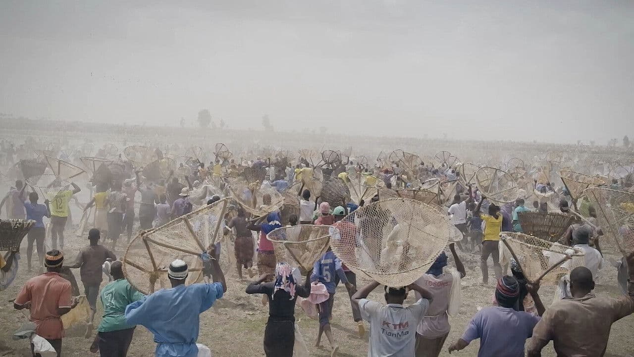 I bɔyɔrɔ, d’où viens-tu ?