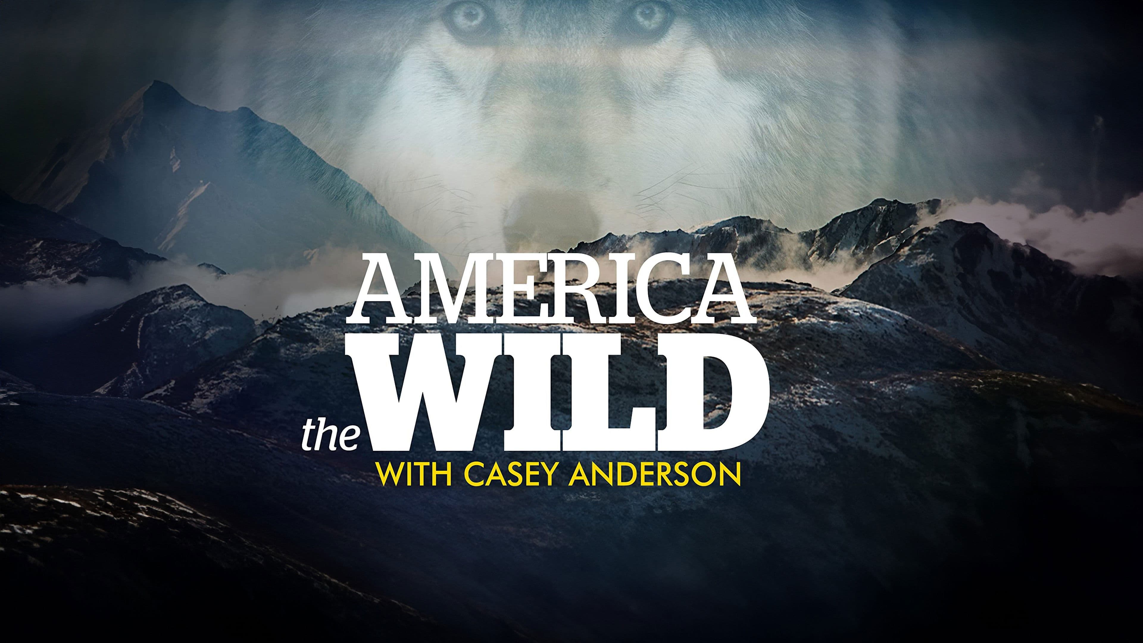 America the Wild